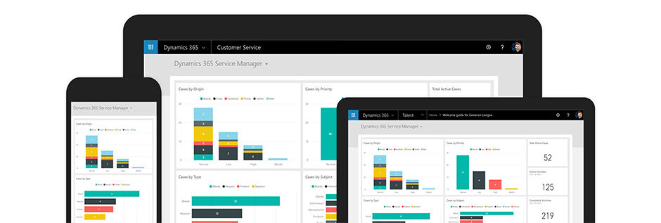 Microsoft 365 Dynamics Customer Service